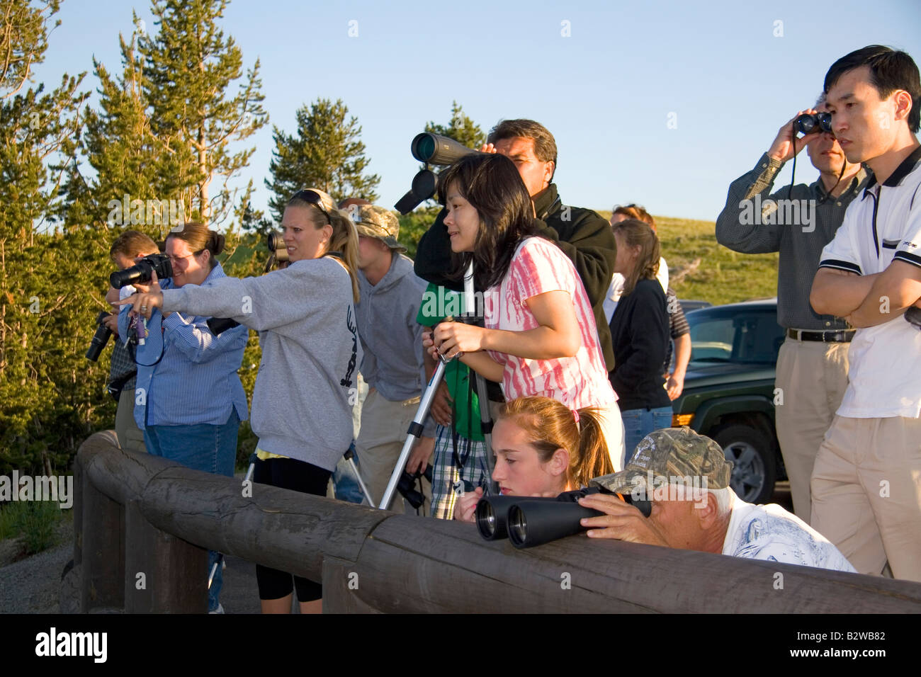 Des foules de touristes d'observer des animaux sauvages dans le Parc National de Yellowstone au Wyoming Banque D'Images