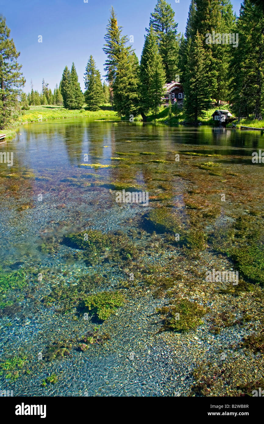 L'eau de source naturelle à Big Springs qui se jettent dans la fourchette d'Henry à l'intérieur du parc de l'Île Puerto Rico Banque D'Images