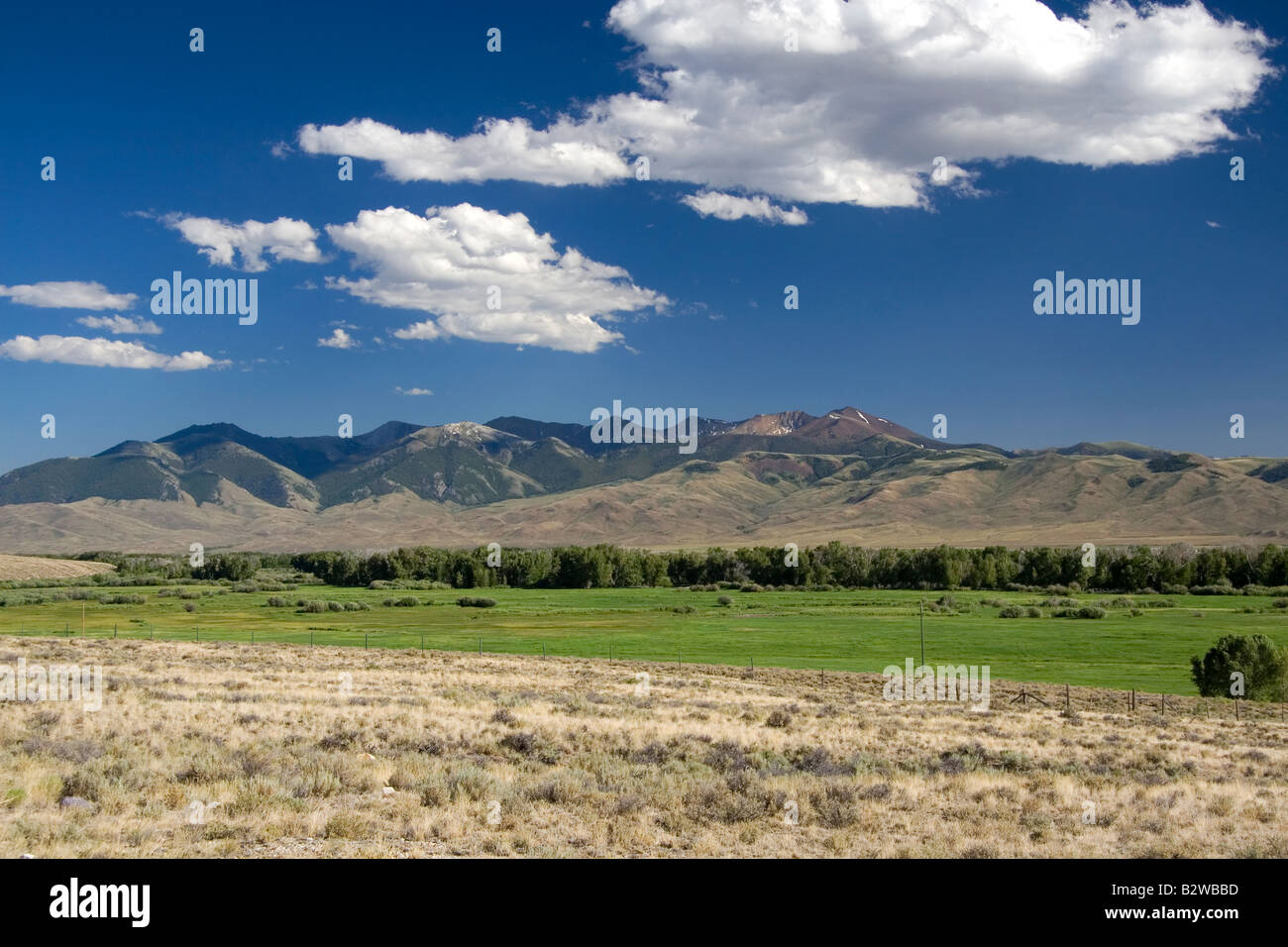 Vallée de la rivière Lost et le Rocher Nuage Blanc montagnes dans le centre de l'Idaho Banque D'Images