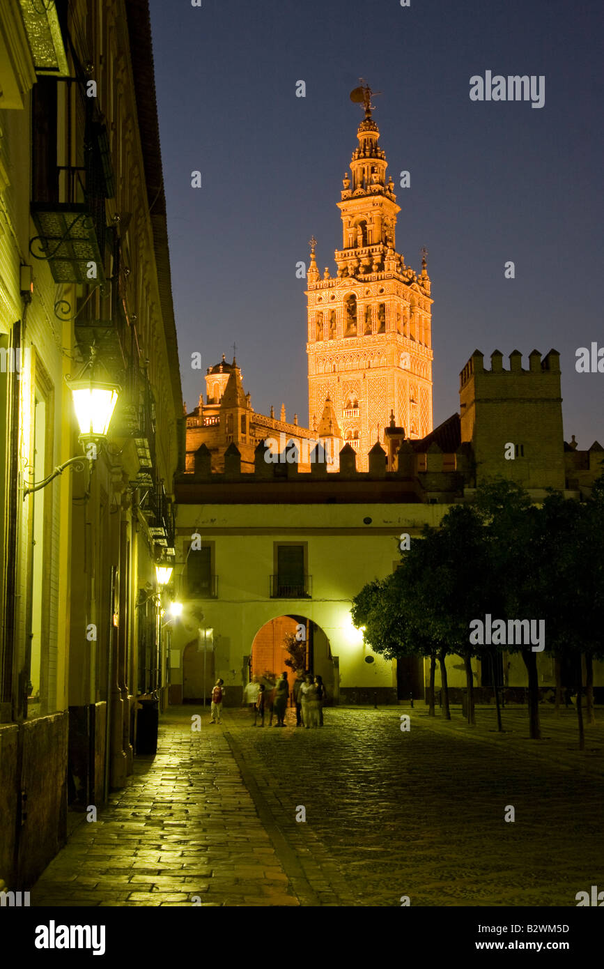 La tour Giralda de la Cathédrale de Séville de nuit Banque D'Images