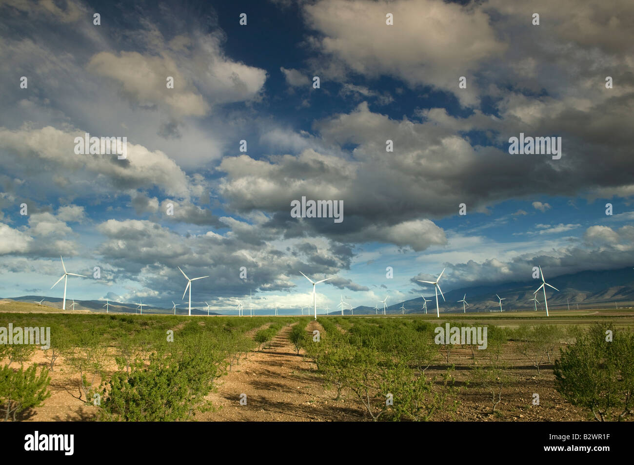 Iberdrola turbines de la Marquesada de Zenete Wind Farm, Andalousie, Espagne Banque D'Images