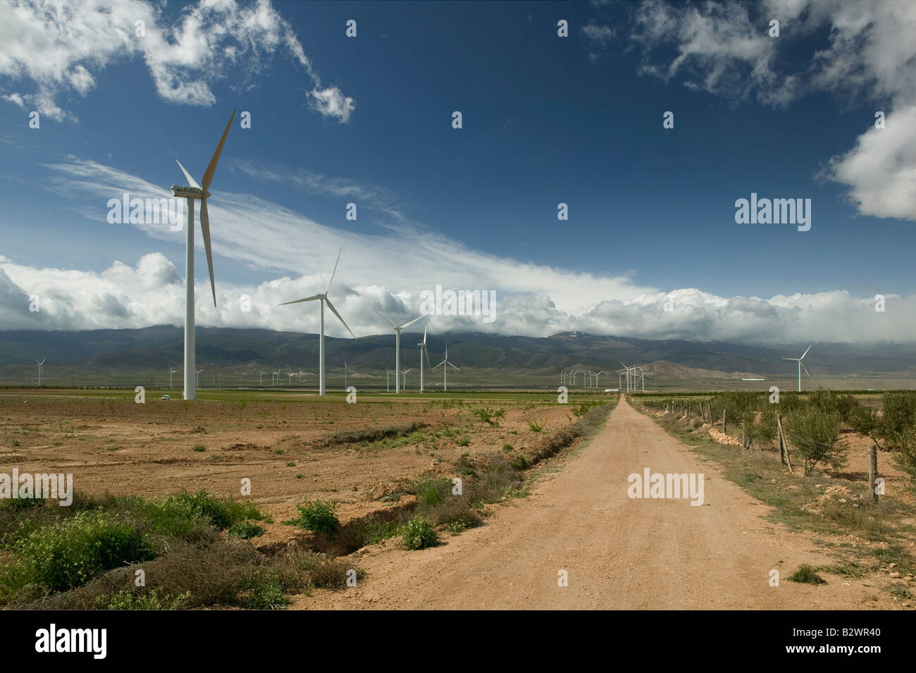 Ferme éolienne d'Iberdrola à Marquesada de Zenete, Andalousie, Espagne Banque D'Images