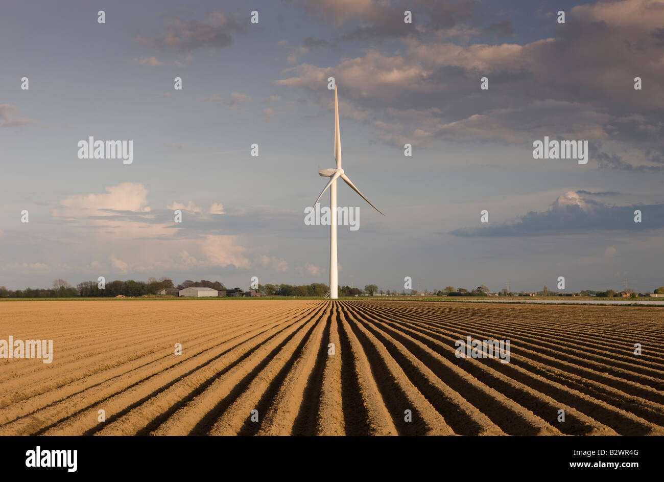 Éoliennes Repower à Gedney Marsh, Lincolnshire Fens Banque D'Images