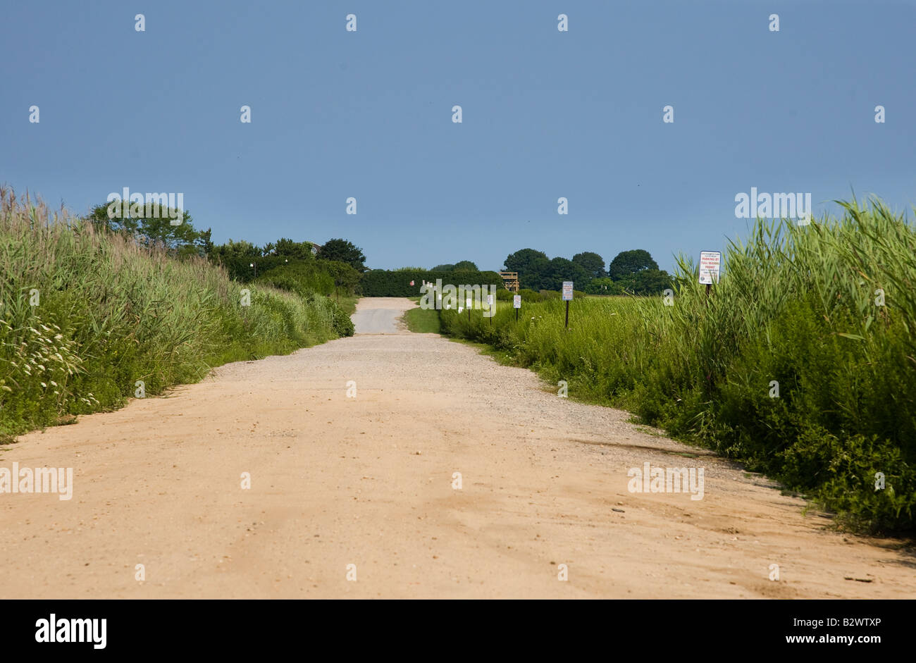 Chemin de terre près de la plage Banque D'Images