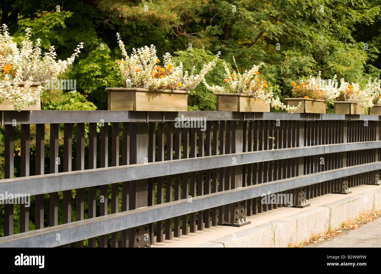 Boîtes à fleurs décorent un pont à Williamstown Massachusetts compliments du Garden club local Banque D'Images