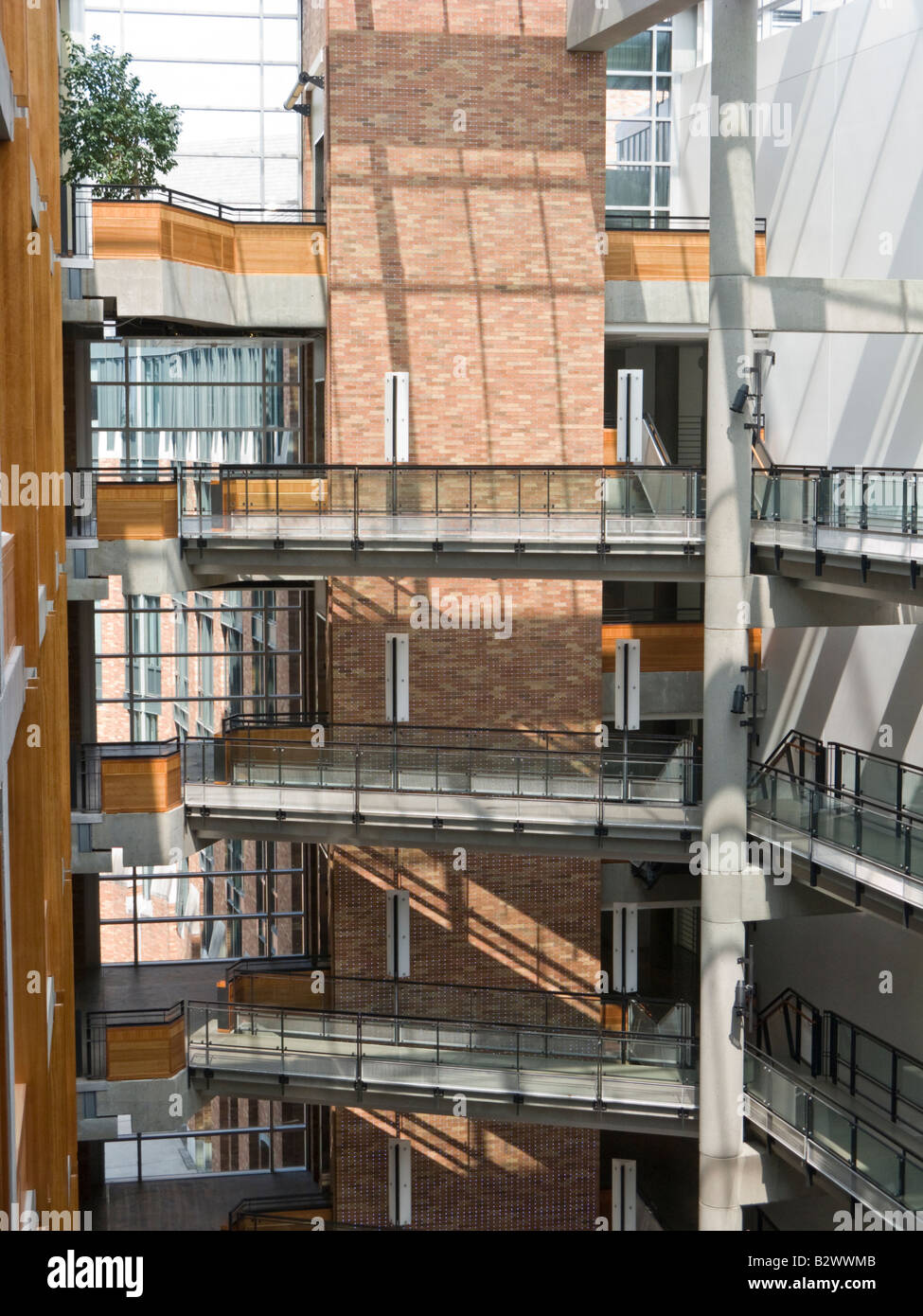 Atrium en verre, Paul G. Allen Center for Computer Science & Engineering, Université de Washington Banque D'Images