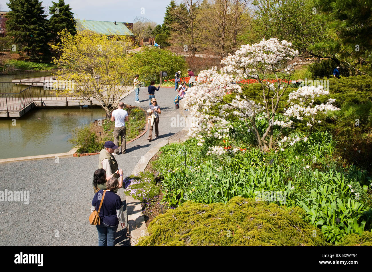 Chemin du jardin botanique Banque D'Images