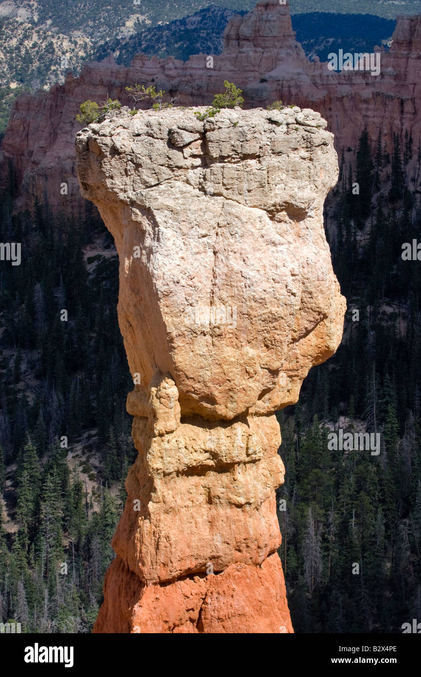 Agua Canyon, Bryce Canyon National Park, Utah Banque D'Images