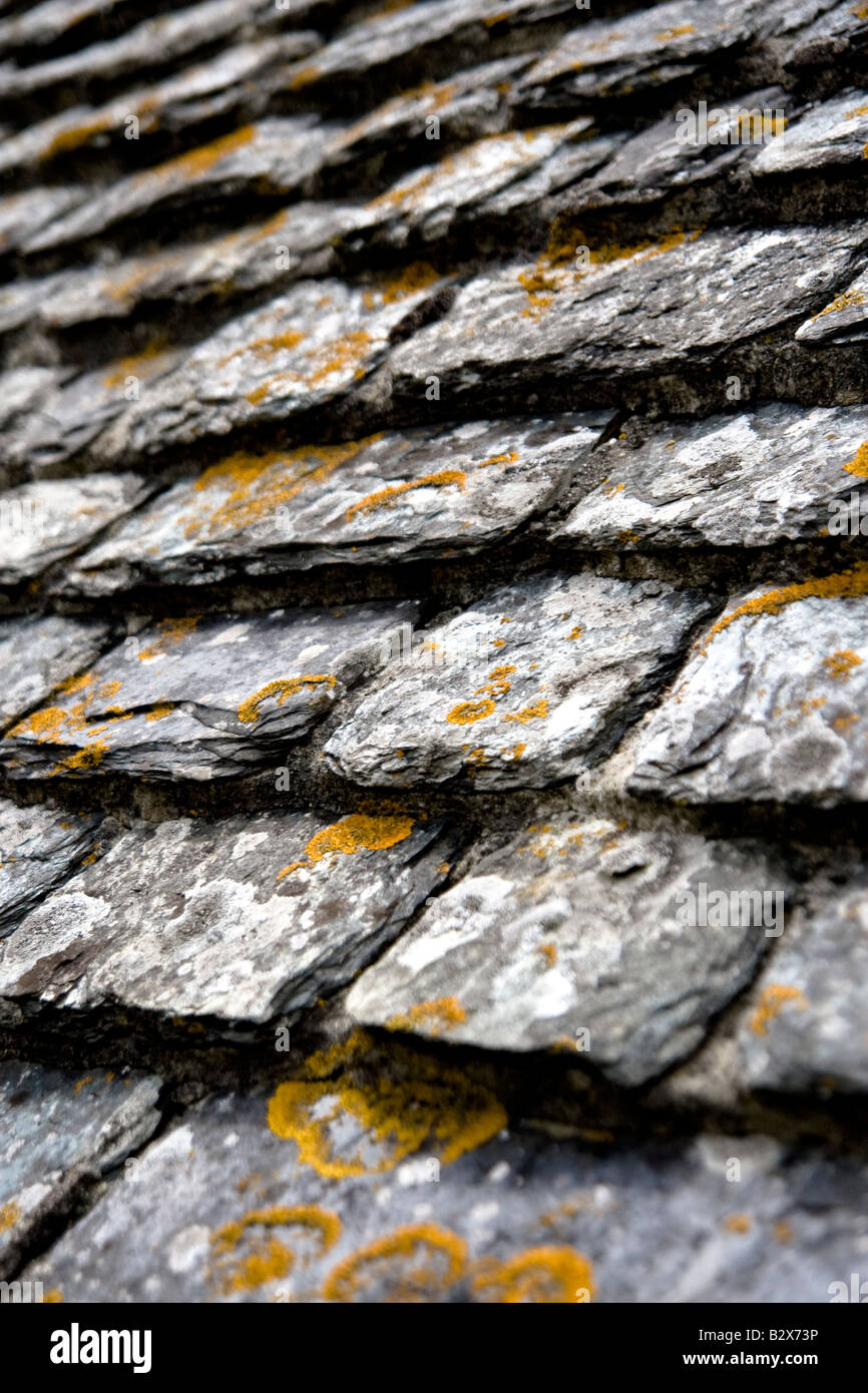 Toit en pierre à Pirou château médiéval, Normandie, France Banque D'Images