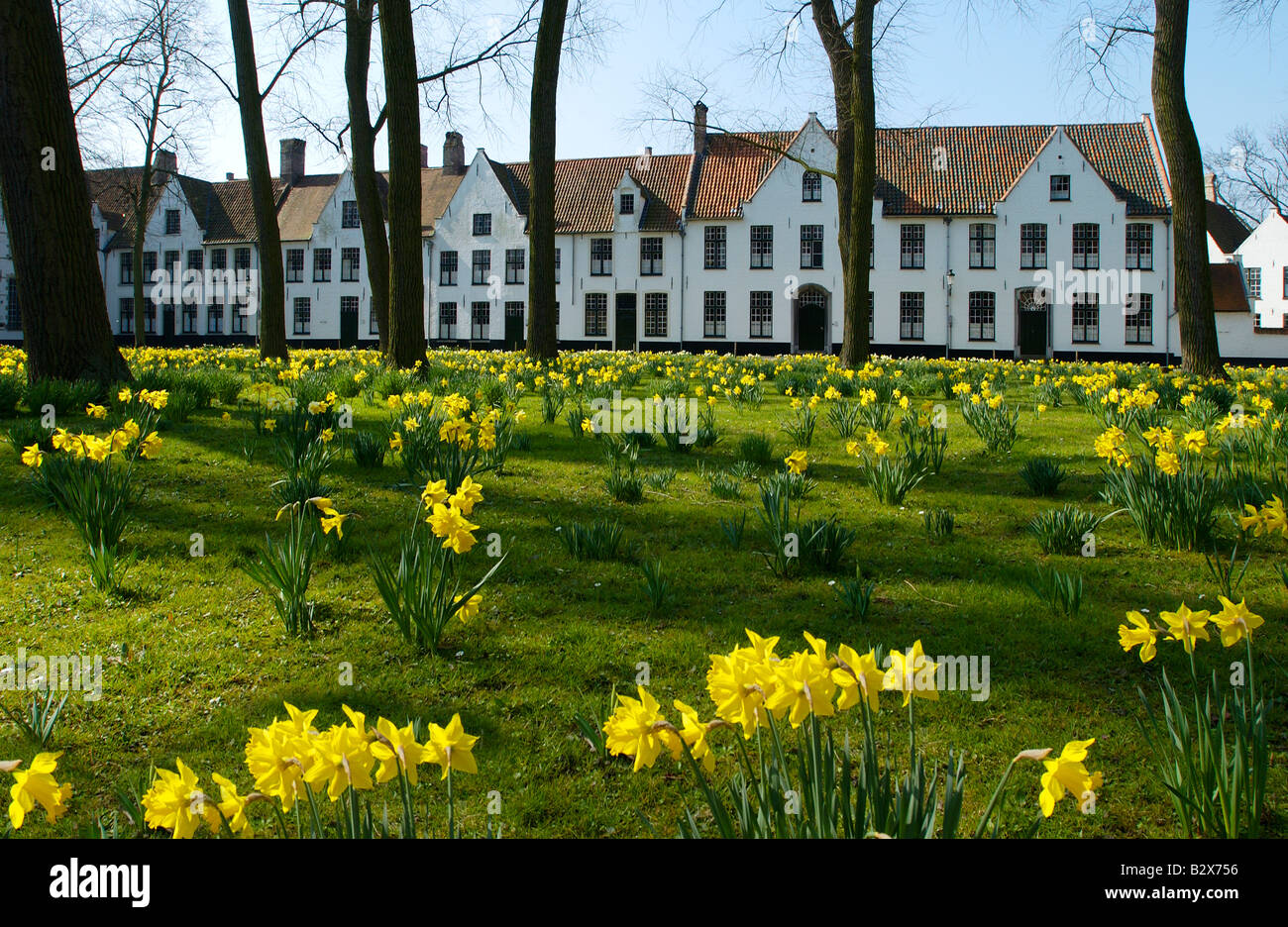 Façade historique de l'abbaye Beginenhof, fleurs jaunes à l'avant, jonquille, Bruegge, Belgique, Europe Banque D'Images