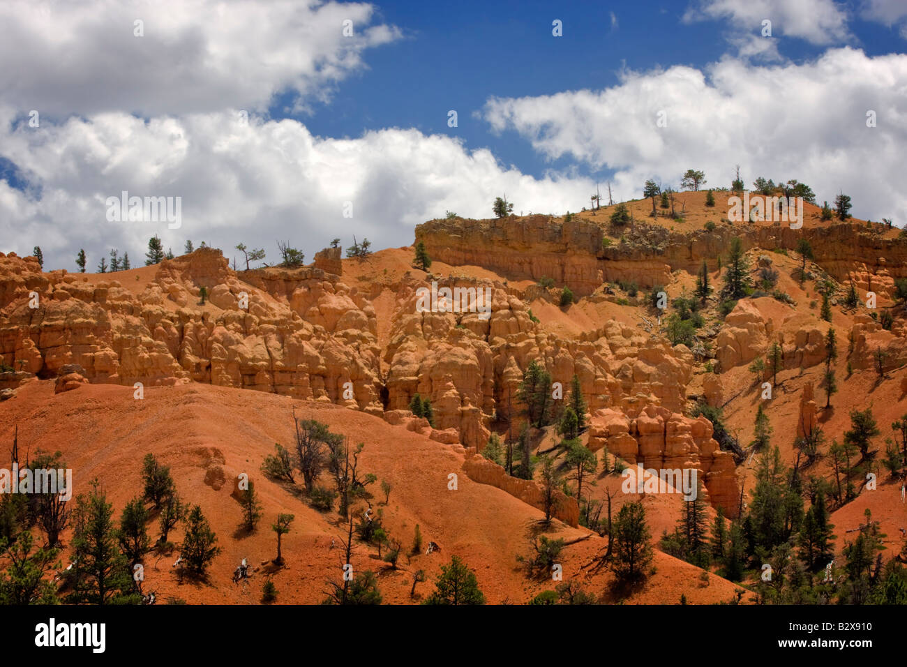 Red Canyon, Utah Banque D'Images