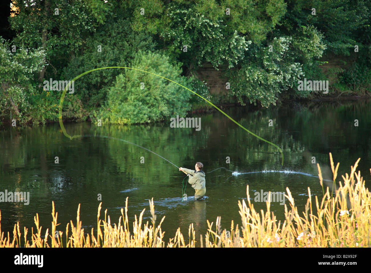 Salmon Fly fisherman casting. Rivière Eden, Cumbria, Angleterre, Royaume-Uni. Banque D'Images