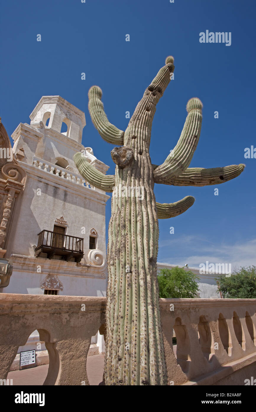 Mission San Xavier del Bac avec Saguaro Cactus - sur réservation La nation Tohono O'odham près de Tucson Arizona - USA Banque D'Images