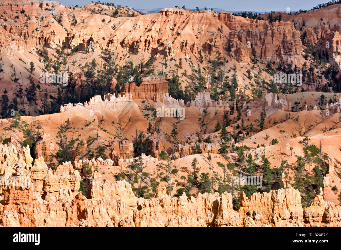 Bryce Amphitheater de Sunset Point Banque D'Images