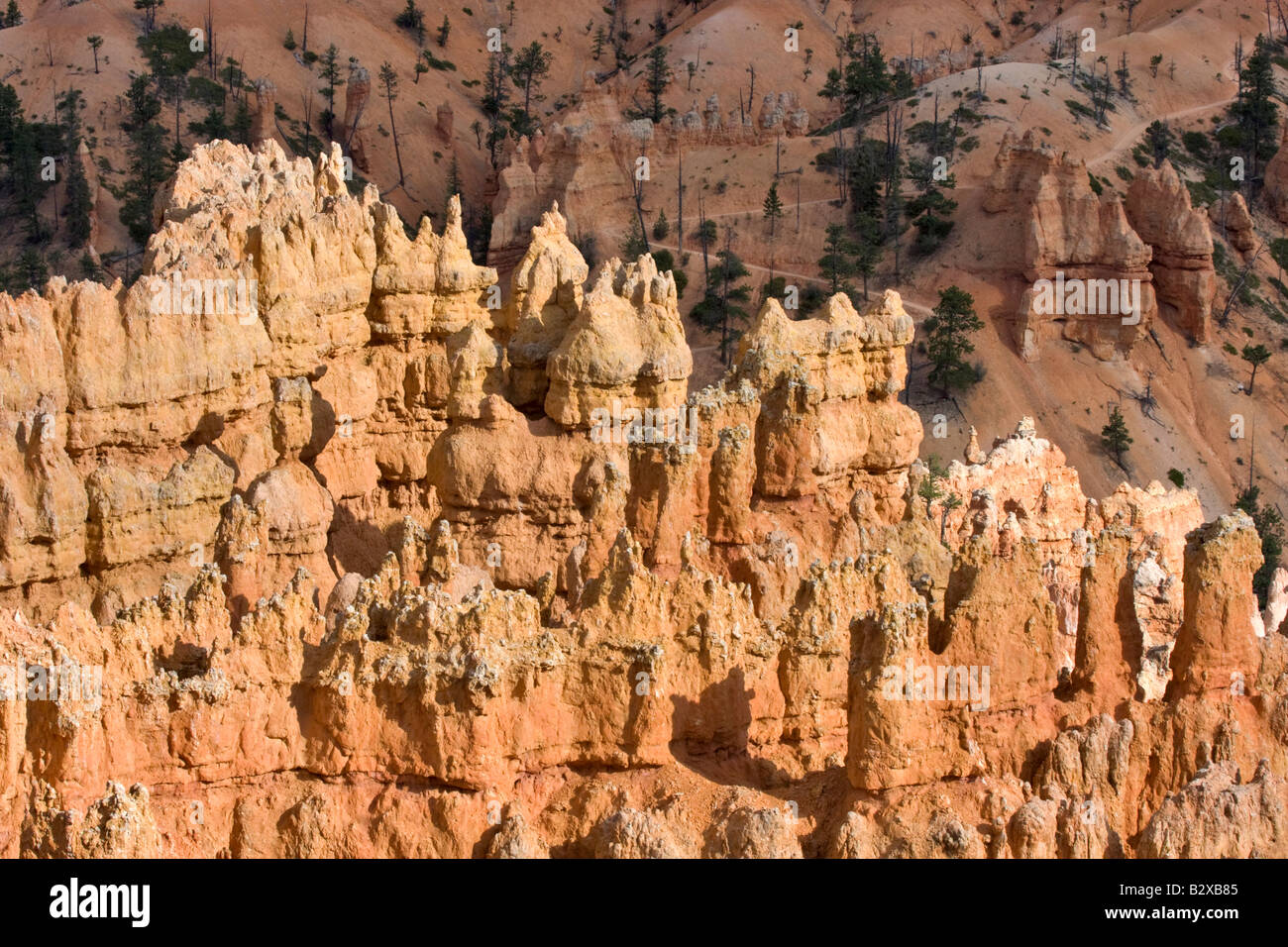 Bryce Amphitheater de Sunset Point Banque D'Images