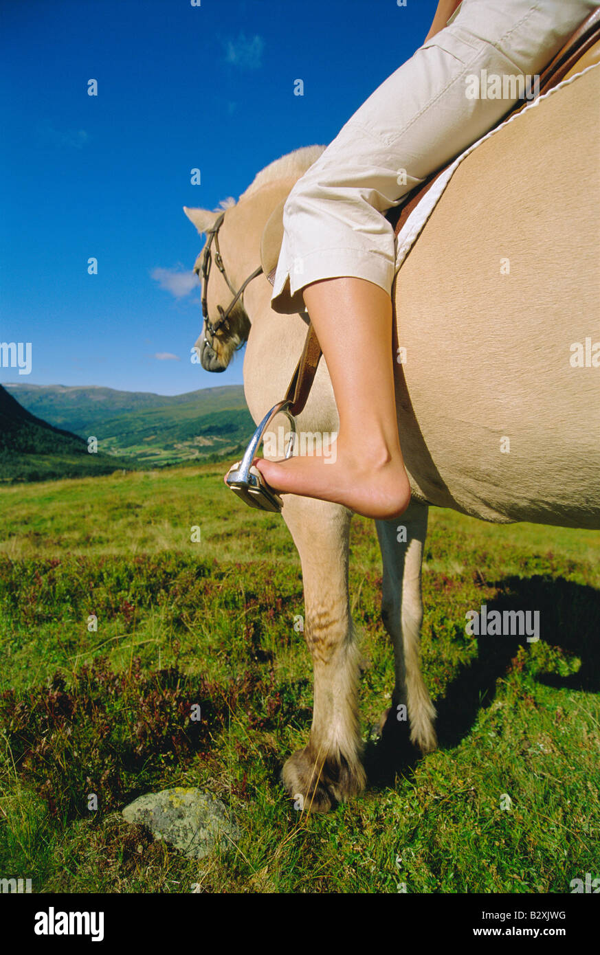 Woman outdoors riding horse dans emplacement pittoresque Banque D'Images