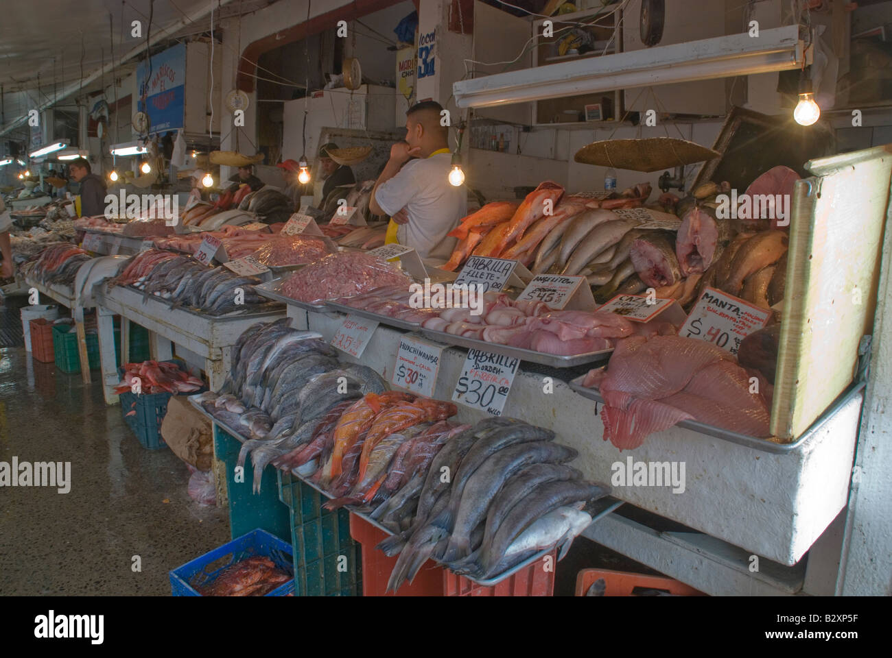 Le poisson frais à la vente à la Ensenada marché aux poissons, d'Ensenada, Baja California, Mexique Banque D'Images