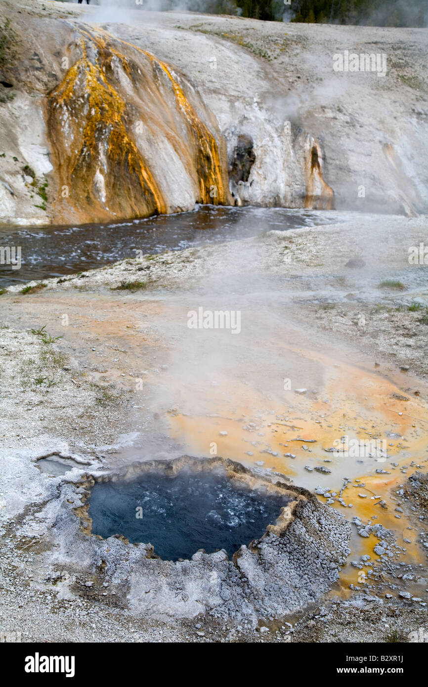 Chinaman Printemps, bassin supérieur de Yellowstone Banque D'Images