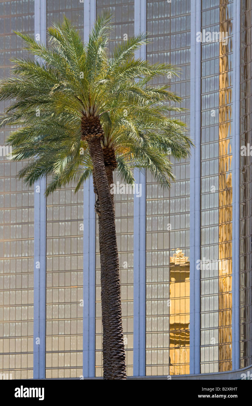 Las Vegas- la réflexion et l'arbre, l'hôtel Mandalay Bay Banque D'Images