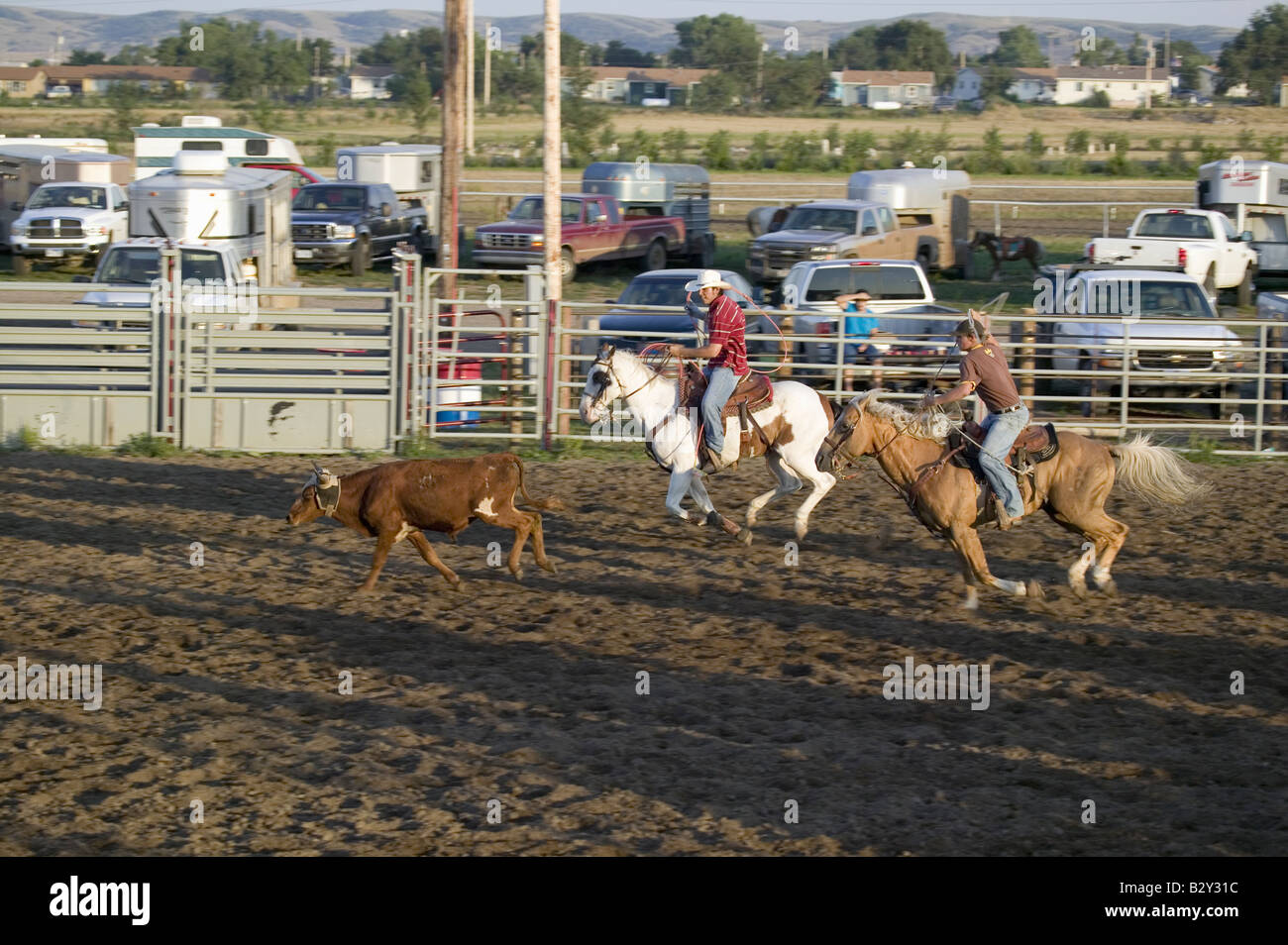 Cowboys lasso à vache PRCA Rodeo à Lower Brule, Lyman Comté, Brule Sioux Réservation Tribal, SD Banque D'Images