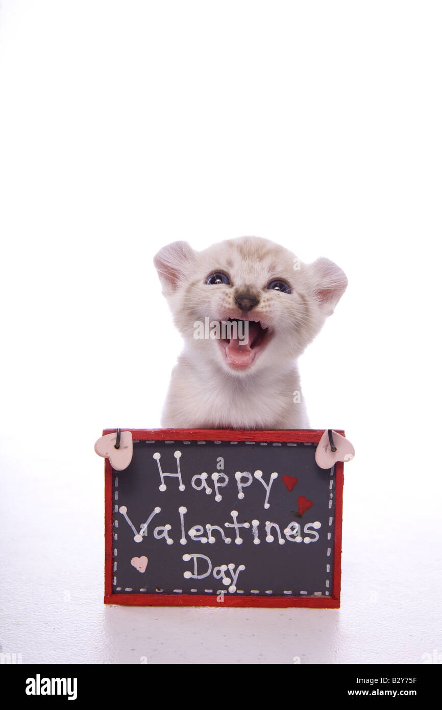 Joyeux Saint Valentin Banque D Image Et Photos Alamy Joyeux Saint Valentin Banque D Image Et Photos Alamy