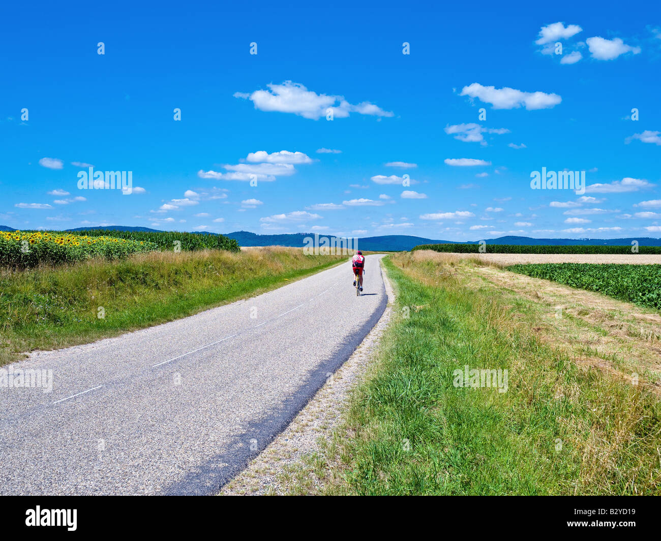 Les cyclistes sur route rurale ALSACE FRANCE Banque D'Images