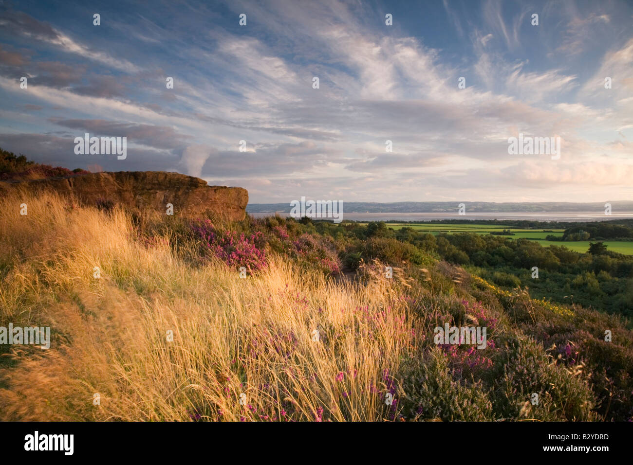Soir d'été sur commun Thurstaston Banque D'Images