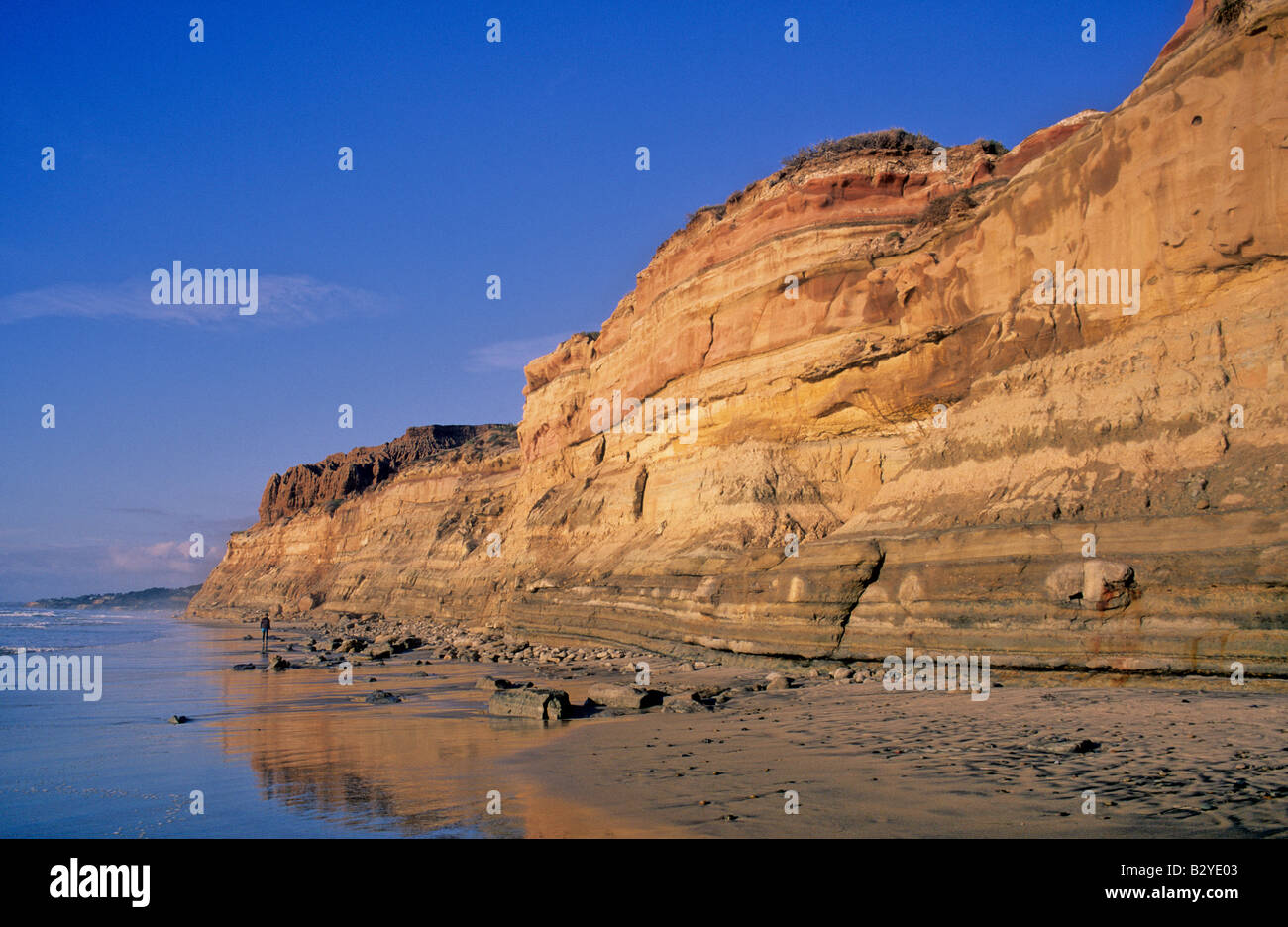 Lumière dorée à Torrey Pines State Beach Banque D'Images