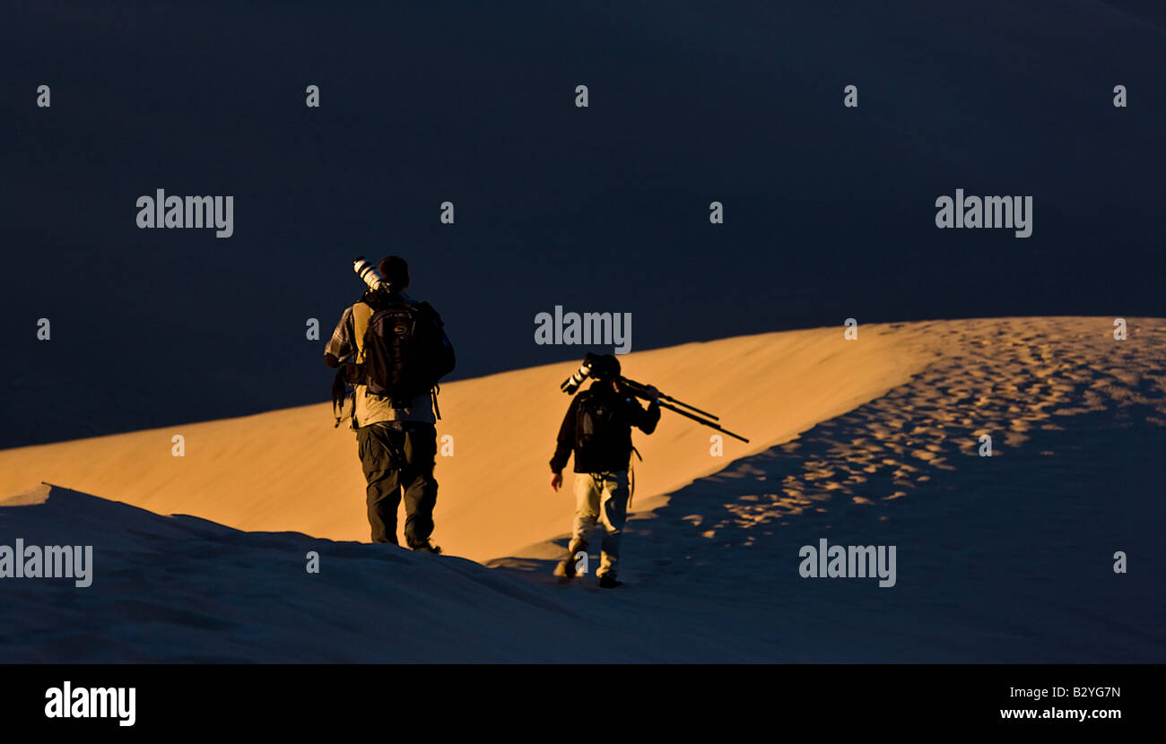 Deux photographes à pied le long d'une ligne de crête de la Mesquite Dunes dans Death Valley National Park Californie au lever du soleil Banque D'Images