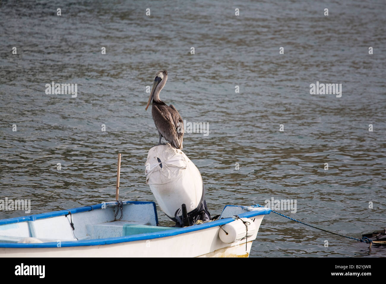 Cabo San Lucas, Mexique Banque D'Images