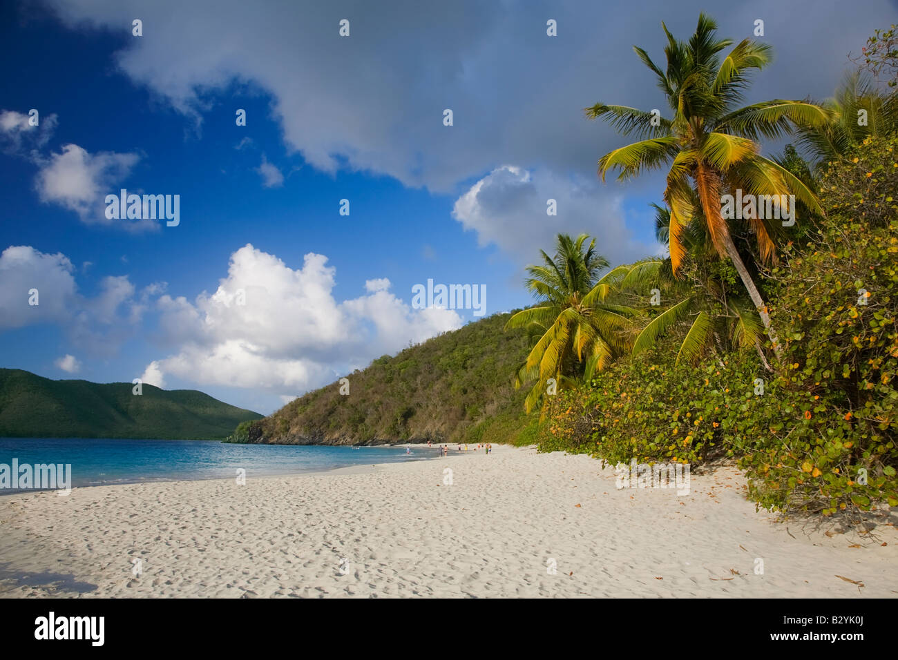 Cinnamon Bay plage dans le parc national des Îles Vierges sur l'île des Caraïbes de St John dans les îles Vierges américaines Banque D'Images