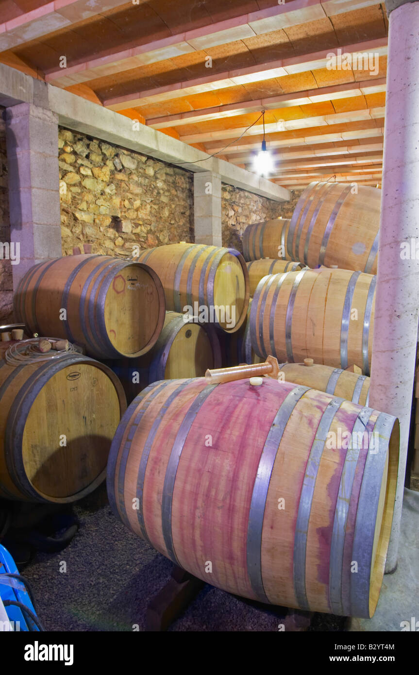 pithon banque d image et photos alamy