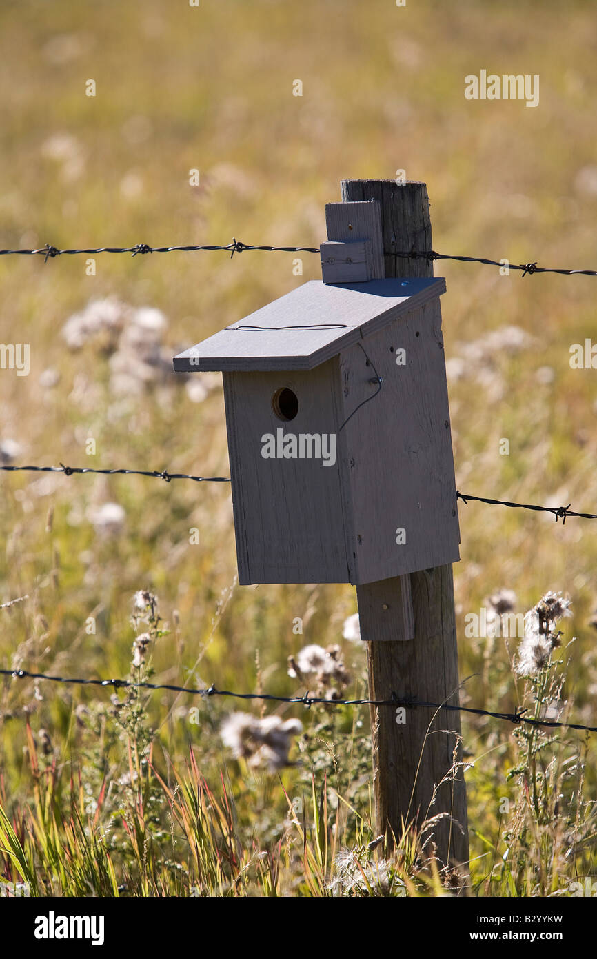 Nichoir sur Fencepost, Kananaskis, Alberta, Canada Banque D'Images