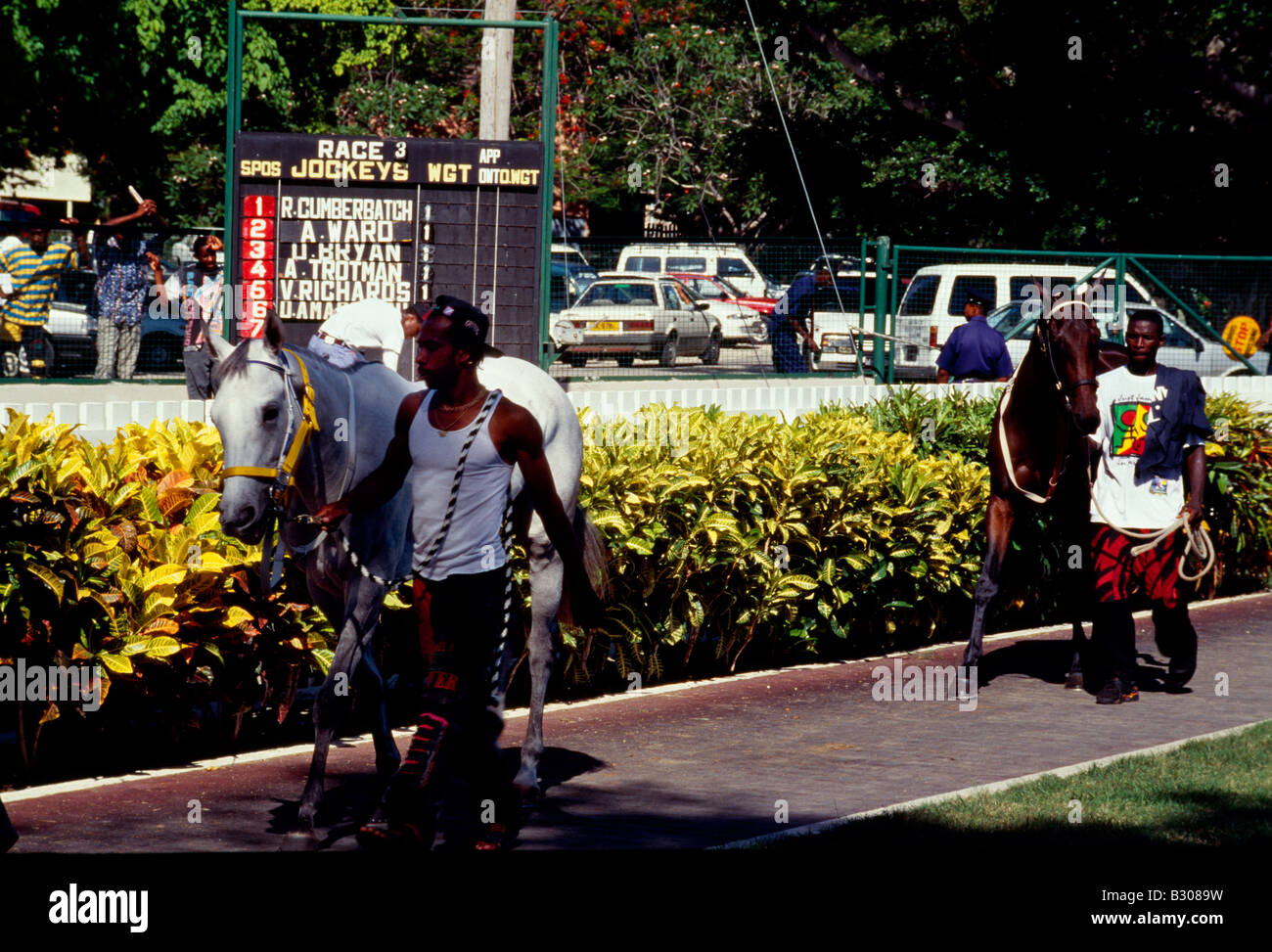 La Barbade, la parade à l'anneau de Garrison Savannah race course Banque D'Images