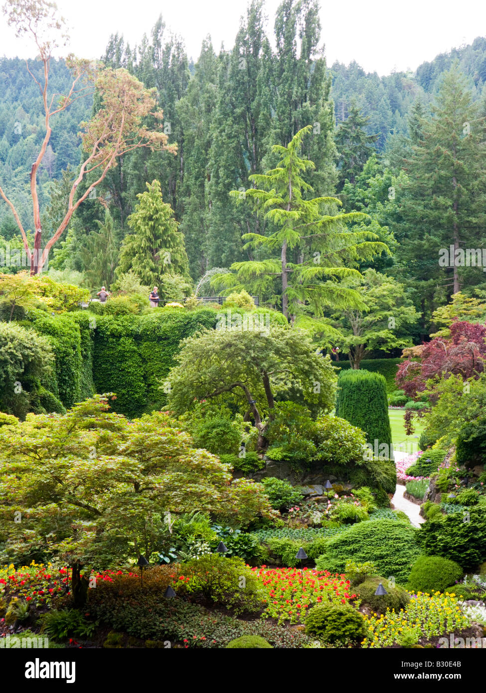 Le jardin en contrebas à Butchart Gardens, Brentwood Bay, île de Vancouver, Colombie-Britannique, Canada Banque D'Images