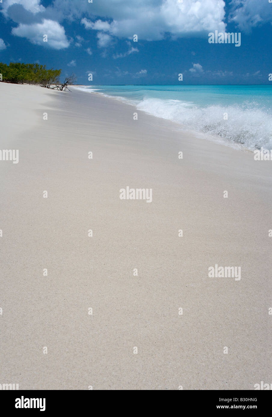 L'eau par rayonnement et de sable rose le long de 11 Mile Beach-Barbuda Antilles Banque D'Images