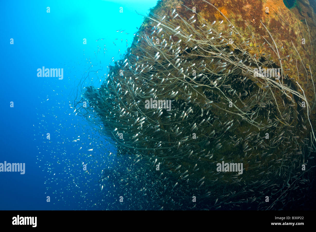 À côté du Port de balayeuses HIJMS Cuirassé Nagato atoll de Bikini des Îles Marshall Micronésie Océan Pacifique Banque D'Images