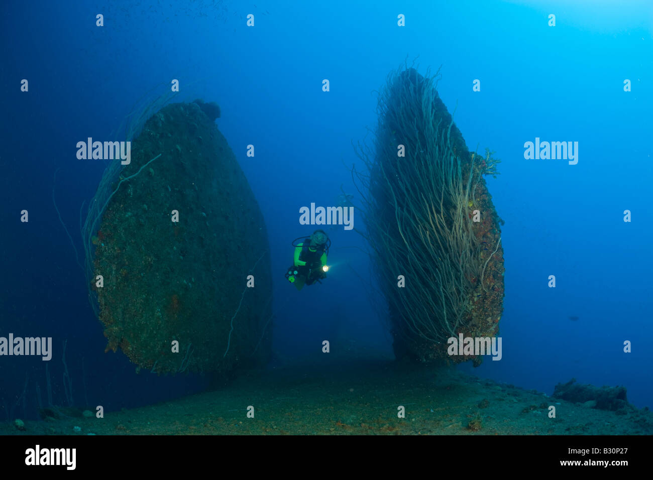 Diver entre Safran de bas en haut fixant HIJMS Cuirassé Nagato atoll de Bikini des Îles Marshall Micronésie Océan Pacifique Banque D'Images