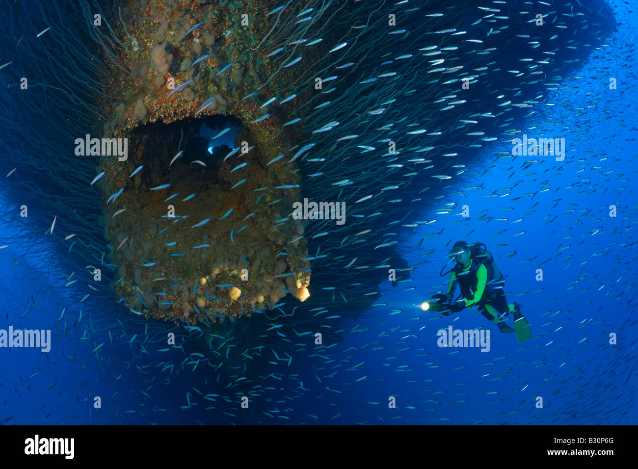 À l'Ancre plongeur Hawse trou à l'arc d'USS Saratoga atoll de Bikini des Îles Marshall Micronésie Océan Pacifique Banque D'Images