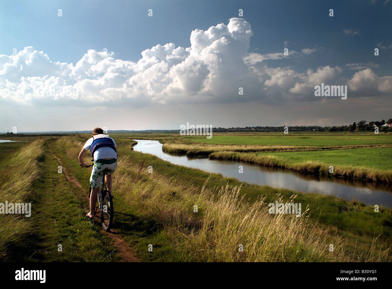Cycliste homme équitation le long sentier plus de marais à Suffolk Aldeburgh en Angleterre Banque D'Images