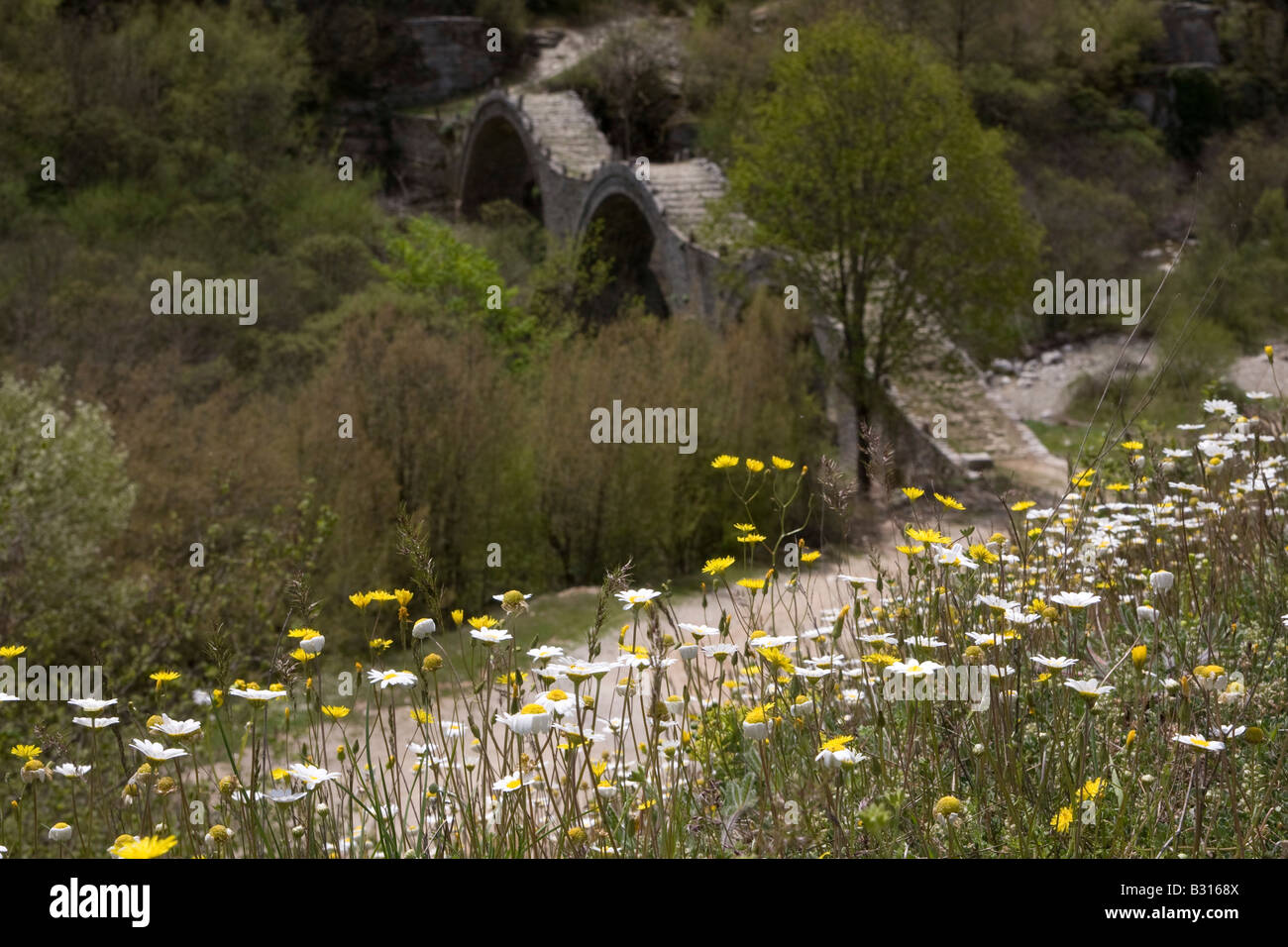 L'Épire Grèce Montagnes Pindus Le Plakidhas Zagori Pont de Pierre Banque D'Images