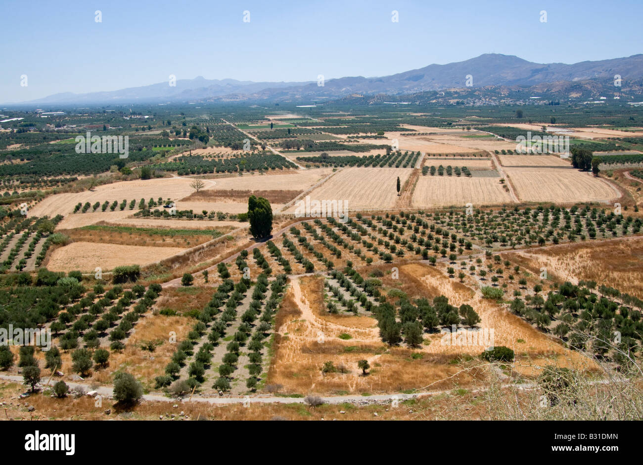 Phaistos, Crète, Grèce. Vue sur la campagne de Phaestos site archéologique Minoen ; fin Juillet Banque D'Images