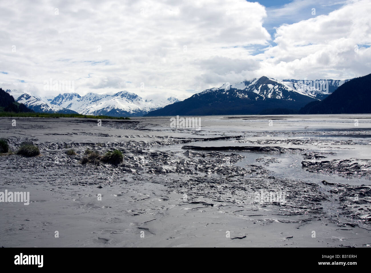 Appartements Cooks Inlet, Alaska, Amérique du Nord, États-Unis d'Amérique Banque D'Images