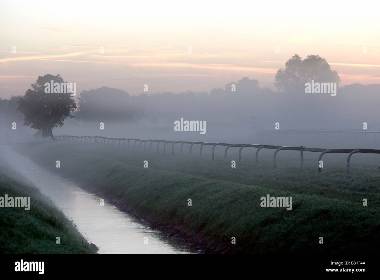 Paysage rural dans le brouillard, Iffezheim, Allemagne Banque D'Images