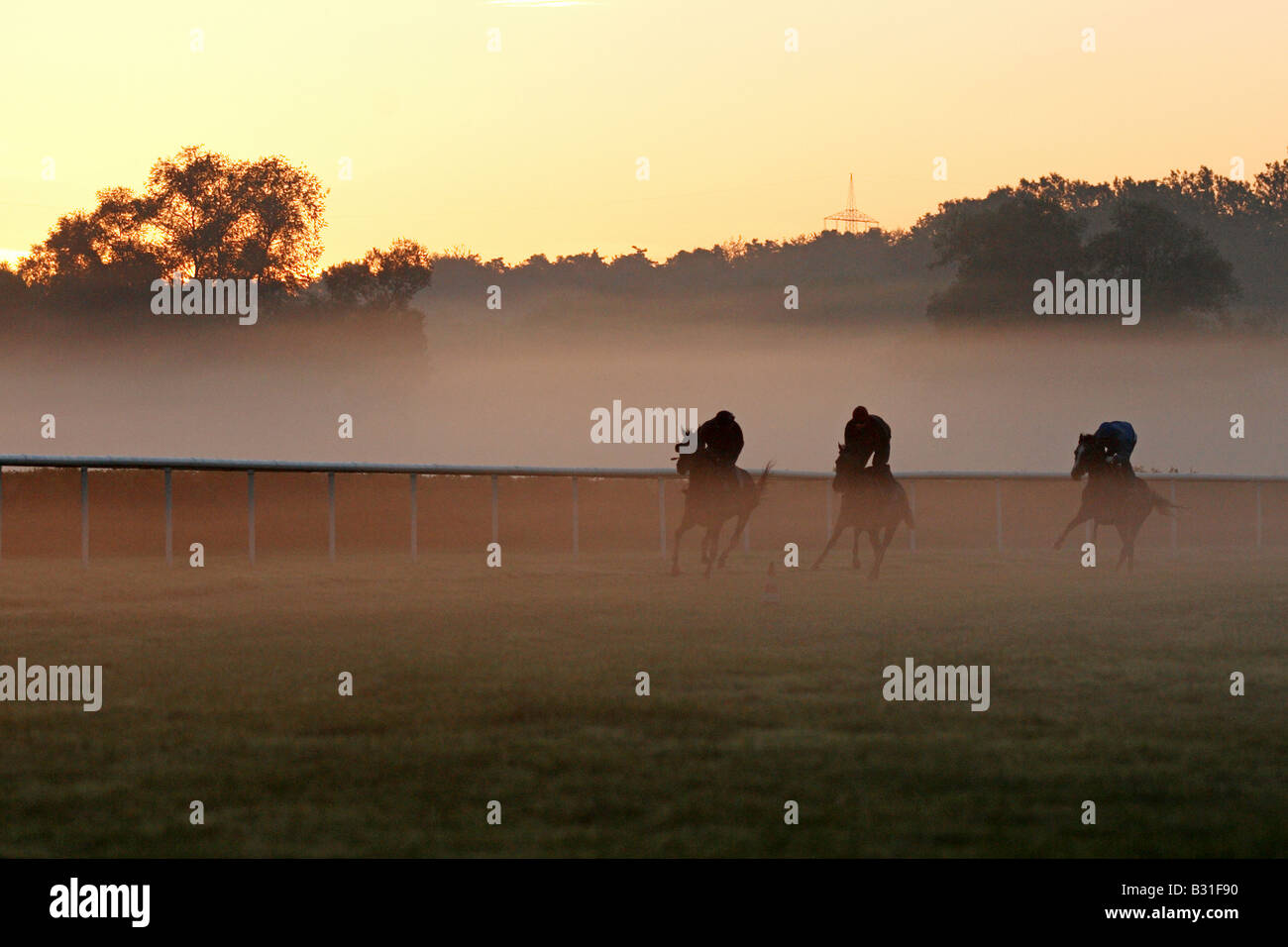 Cavaliers sur des chevaux dans la lumière du matin, Iffezheim, Allemagne Banque D'Images