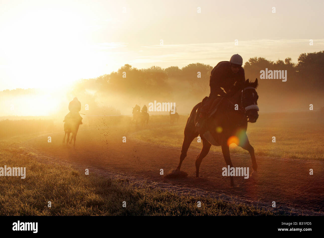 Cavaliers sur des chevaux dans la lumière du matin, Iffezheim, Allemagne Banque D'Images
