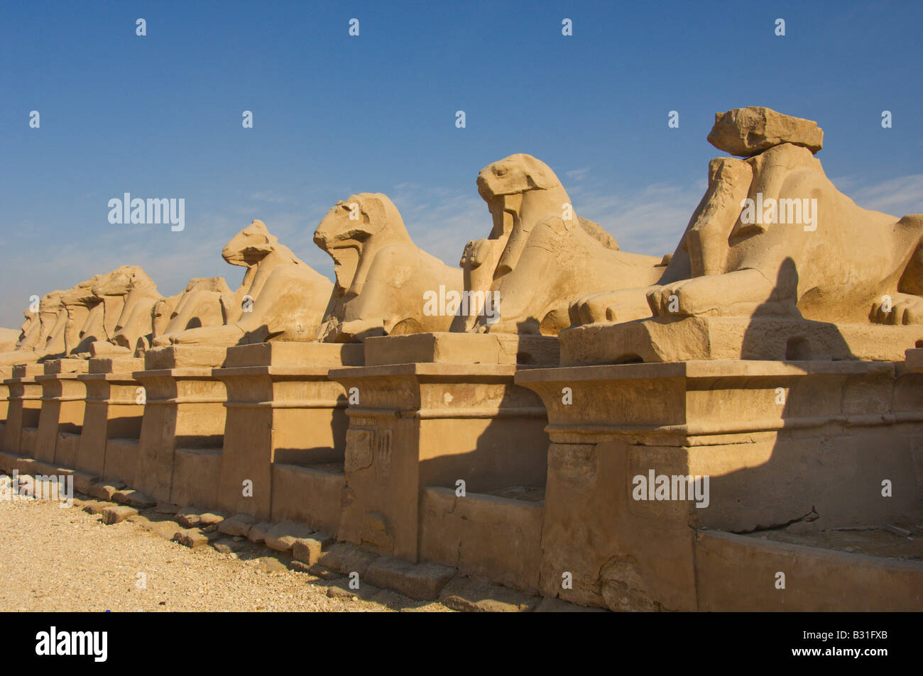 Une rangée de sphinx à l'entrée du temple de Karnak à Louxor Egypte Banque D'Images