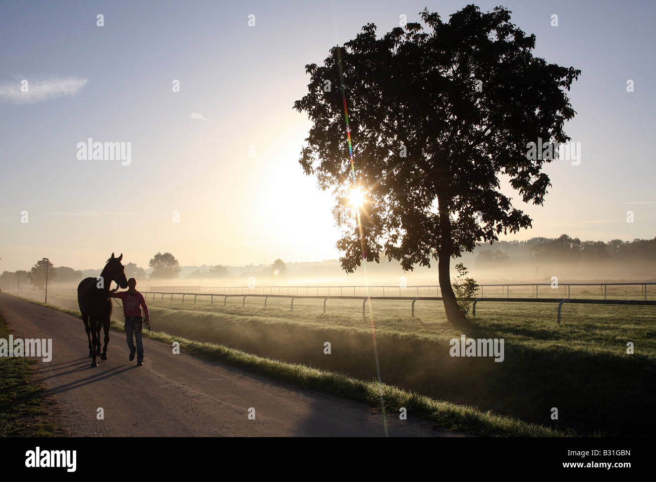 Cavalier avec son cheval dans la lumière du matin, Iffezheim, Allemagne Banque D'Images