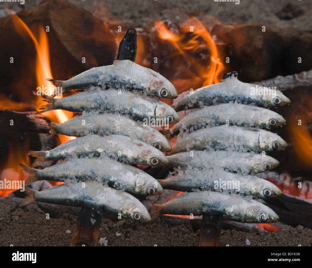 L'Espagne ou des brochettes de sardines espetos barbecueing sur feu ouvert Banque D'Images