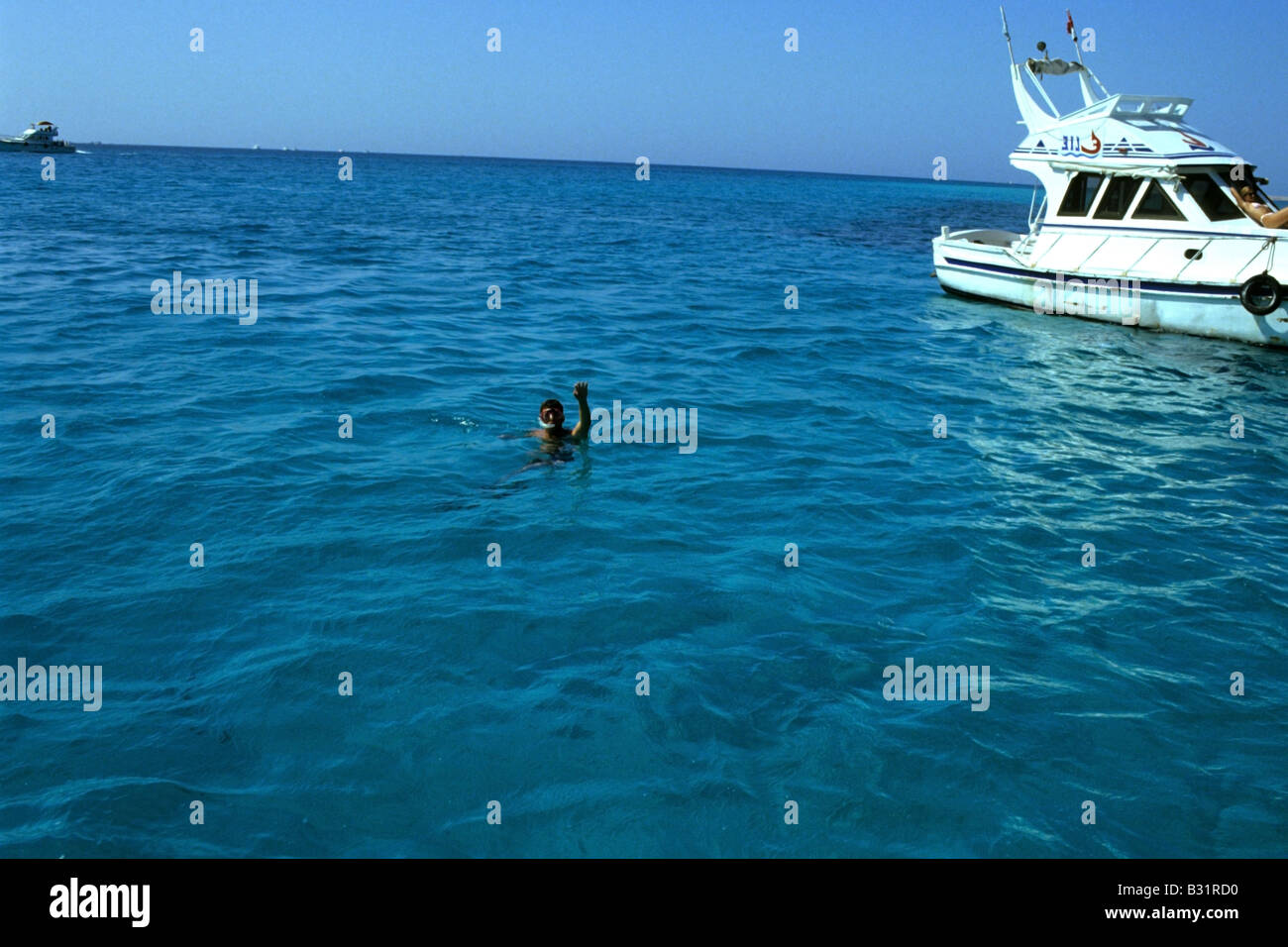 La plongée et la plongée avec tuba dans la belle mer Rouge en Egypte Banque D'Images